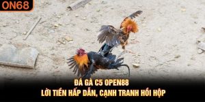 Đá gà C5